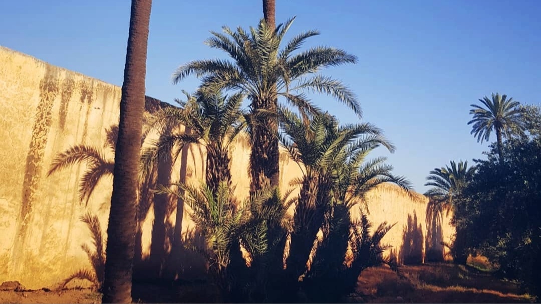 Jardin de l'Agdal