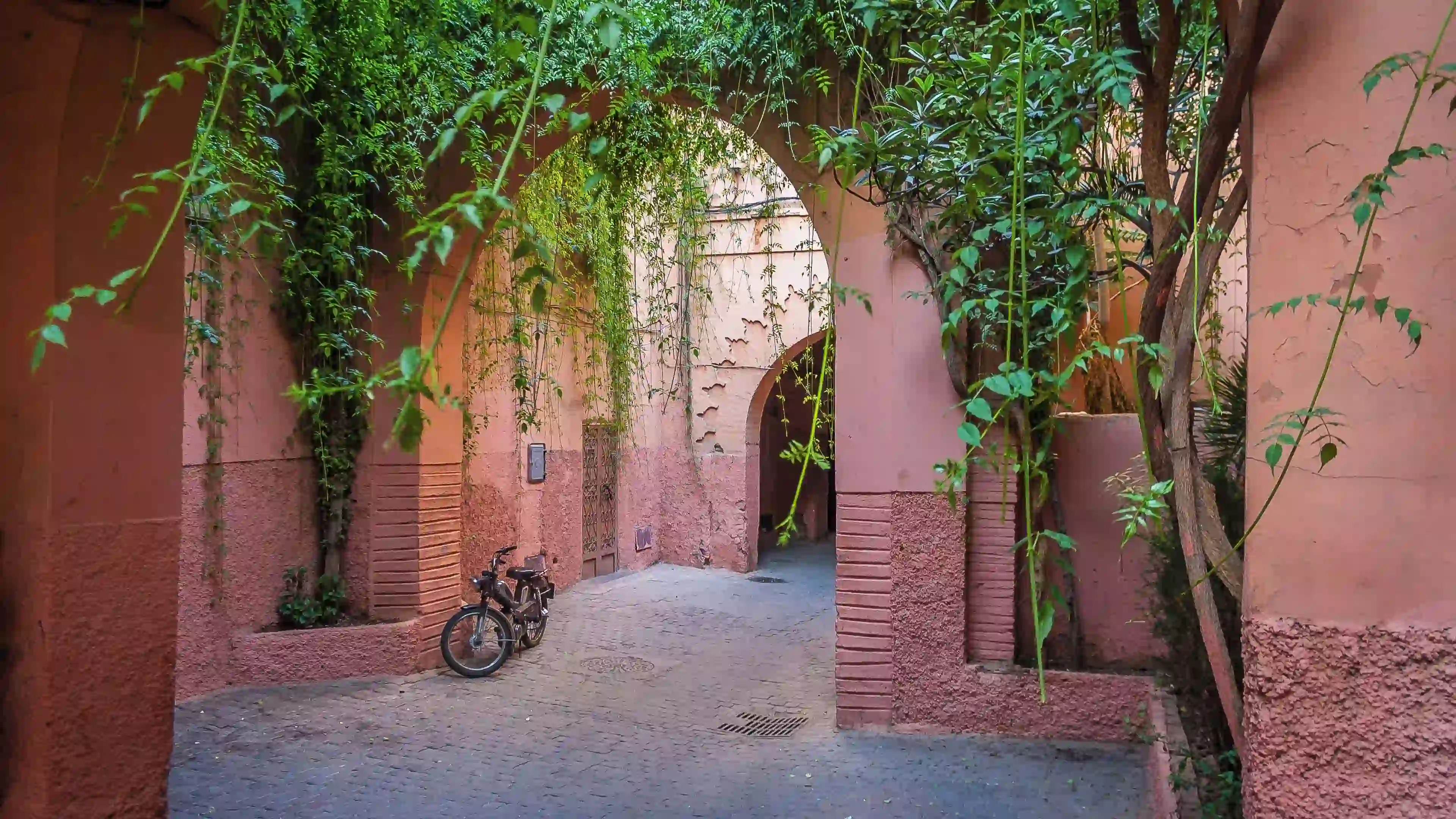 The Medina