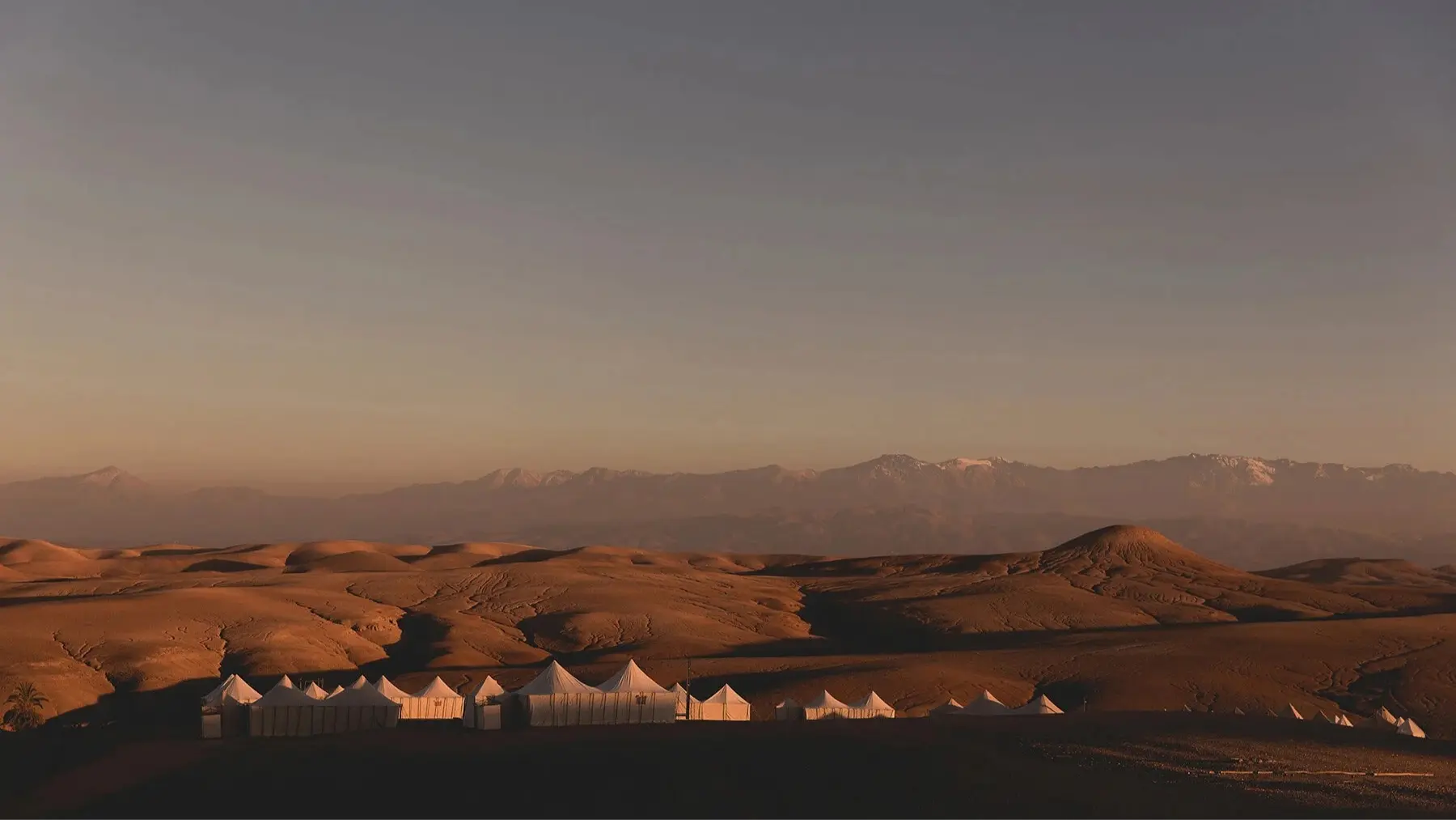 Scarabeo Camp